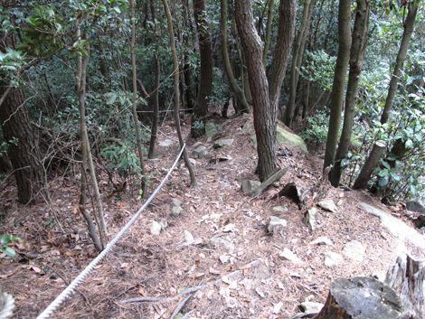 20140102hike (246)